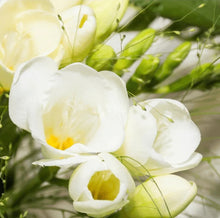 Load image into Gallery viewer, Happy Wick Reed Diffuser