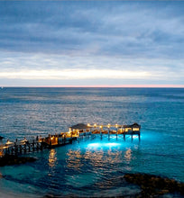 Load image into Gallery viewer, Large Jar Candle